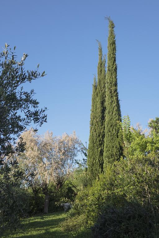B&B Villa Panicucci Livorno Luaran gambar