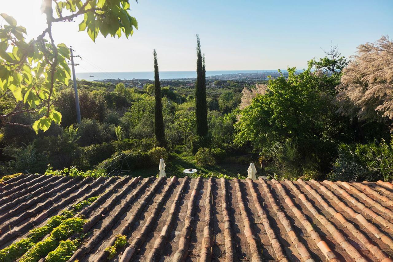 B&B Villa Panicucci Livorno Luaran gambar